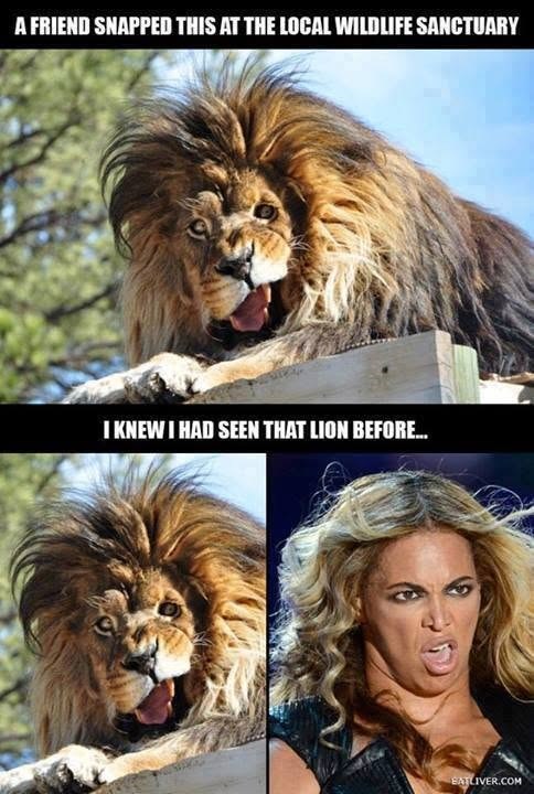 A FRIEND SNAPPED THIS AT THE LOCAL WILDLIFE SANCTUARY I KNEW I HAD SEEN THAT LION BEFORE... EATLIVER.COM
