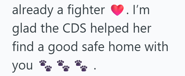 already a fighter . I'm glad the CDS helped her find a good safe home with you
