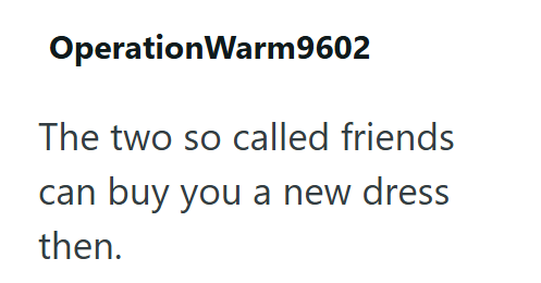 OperationWarm9602 The two so called friends can buy you a new dress then.
