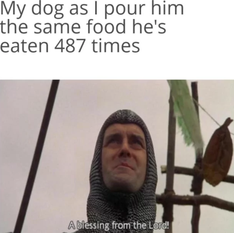 My dog as I pour him the same food he's eaten 487 times Ablessing from the Lord!