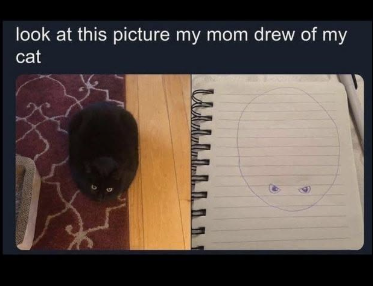 look at this picture my mom drew of my cat