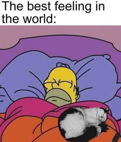 The best feeling in the world: