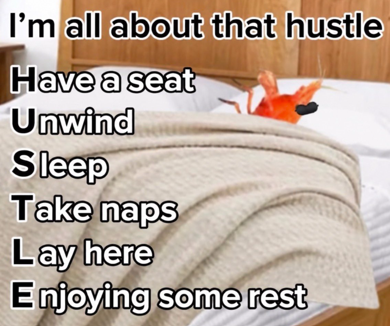 I'm all about that hustle Have a seat Unwind Sleep Take naps Lay here Enjoying some rest
