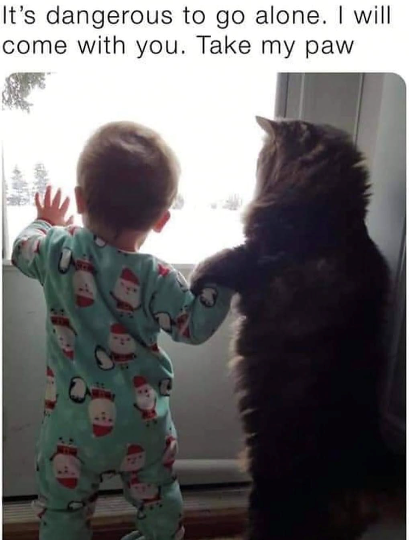 It's dangerous to go alone. I will come with you. Take my paw