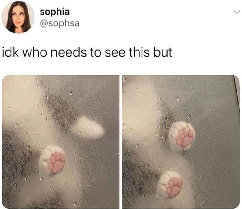 sophia @sophsa idk who needs to see this but