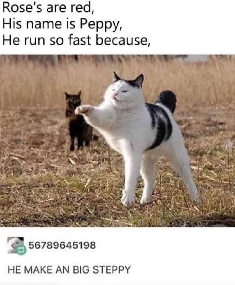 Rose's are red, His name is Peppy, He run so fast because, 56789645198 HE MAKE AN BIG STEPPY