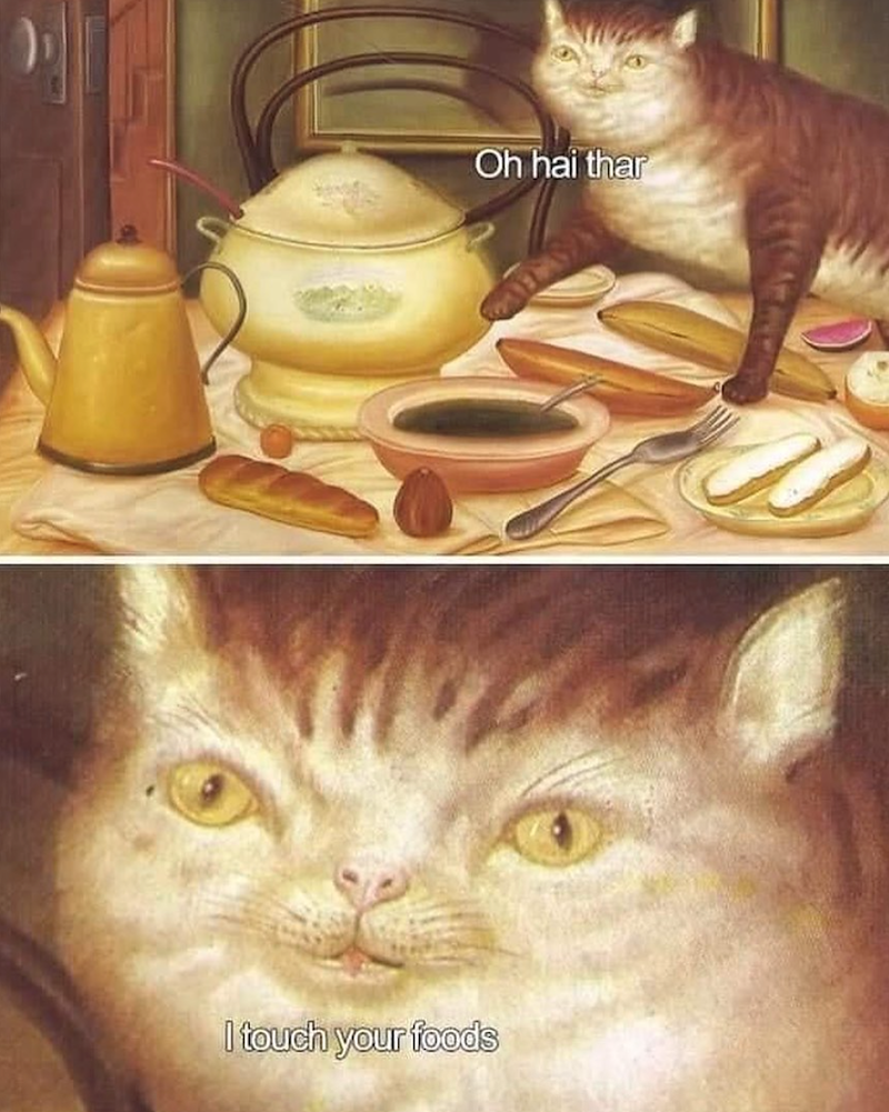 Oh hai thar I touch your foods