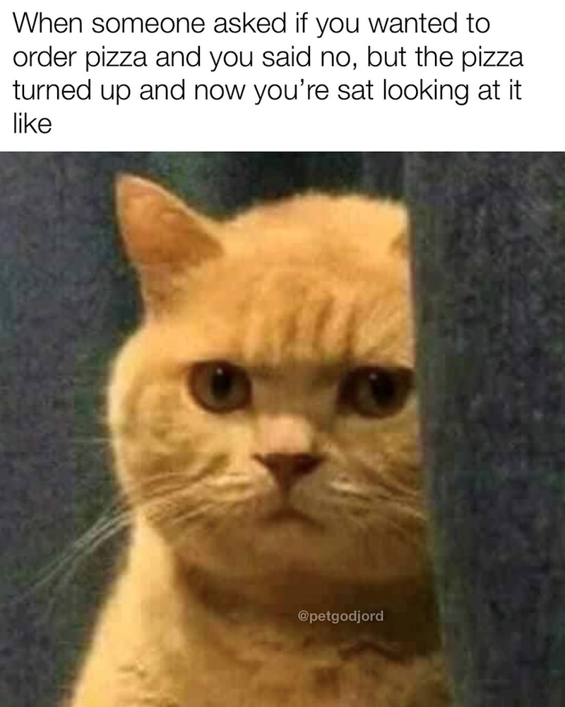 When someone asked if you wanted to order pizza and you said no, but the pizza. turned up and now you're sat looking at it like @petgodjord