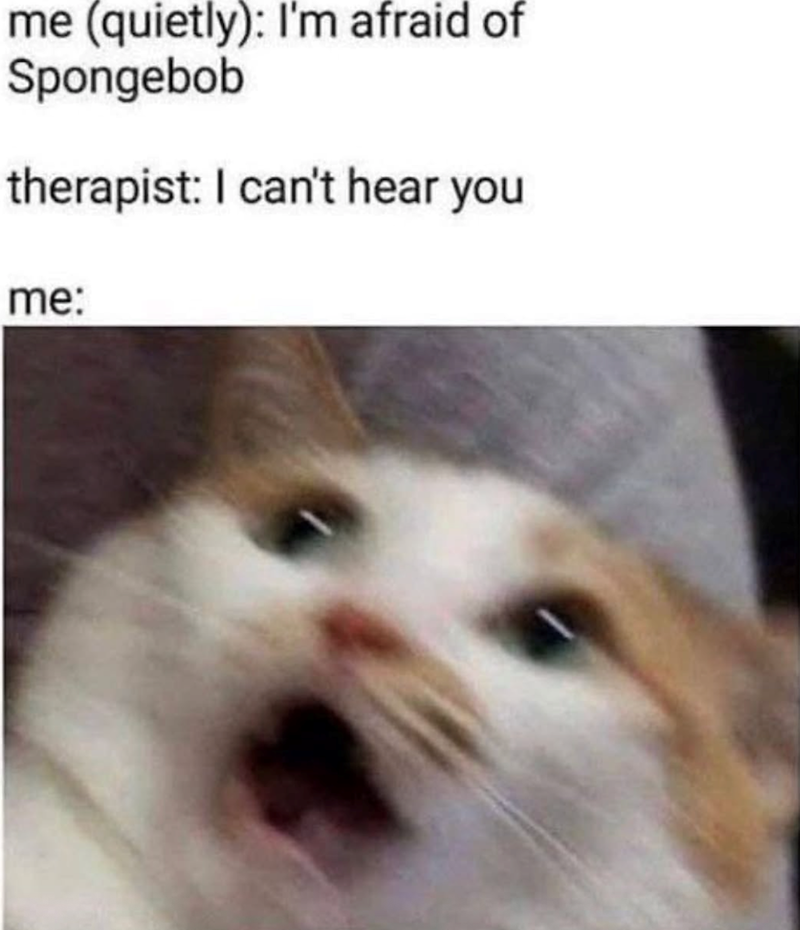 me (quietly): I'm afraid of Spongebob therapist: I can't hear you me: