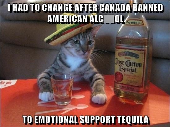 I HAD TO CHANGE AFTER CANADA BANNED AMERICAN ALC OL Premium Jose Cuervo Especial TO EMOTIONAL SUPPORT TEQUILA
