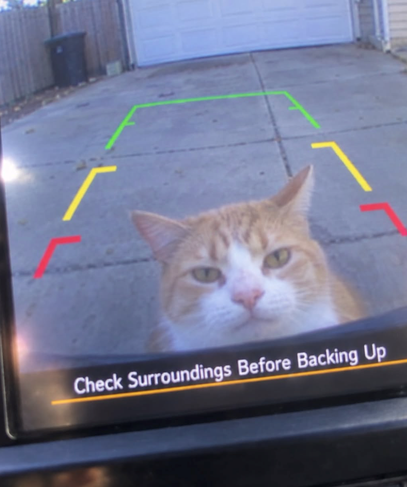 Check Surroundings Before Backing Up