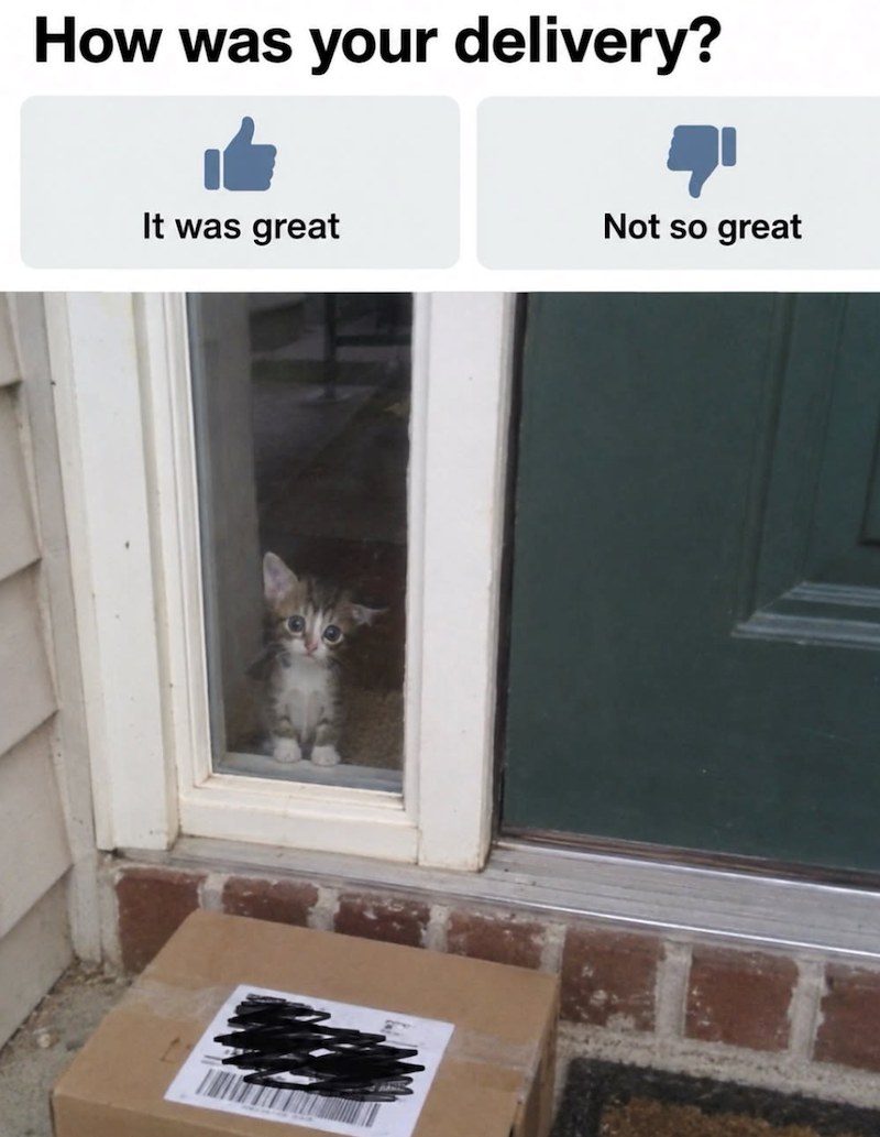 How was your delivery? It was great Not so great
