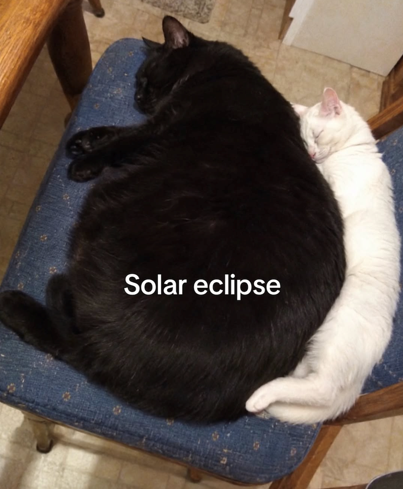 Solar eclipse