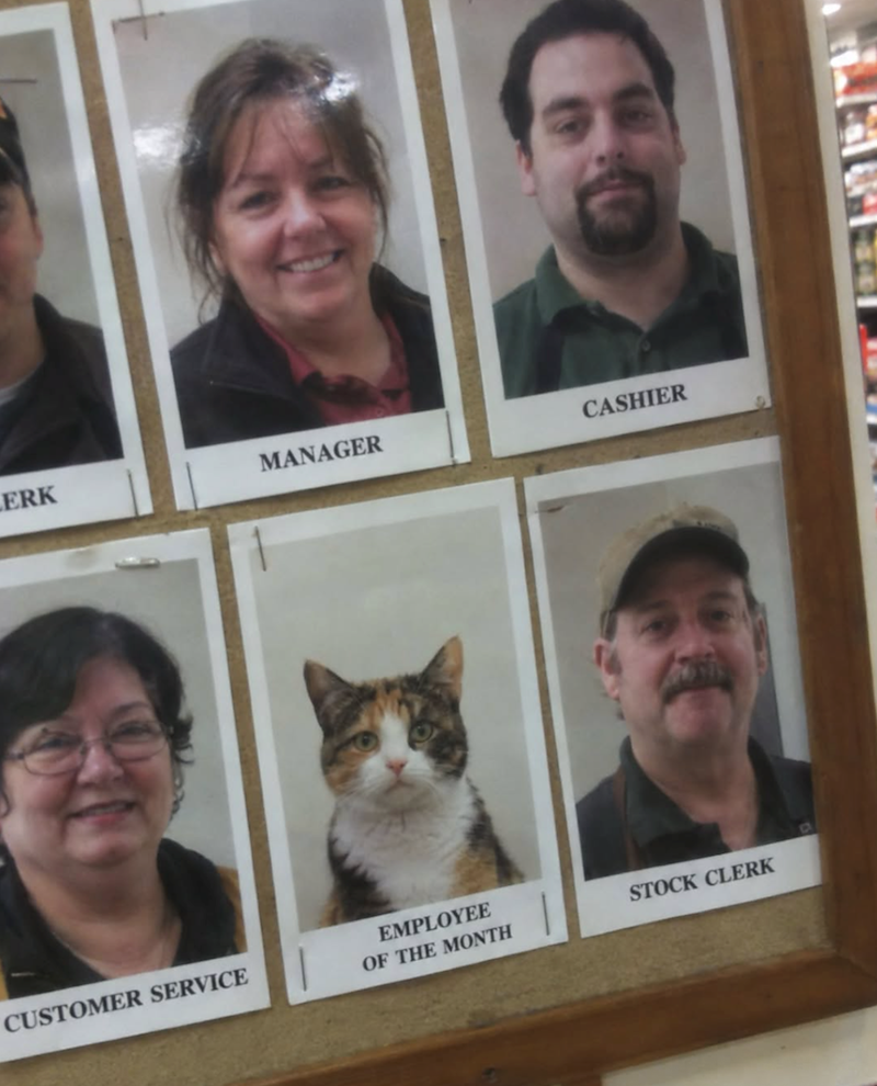 ERK MANAGER CASHIER CUSTOMER SERVICE EMPLOYEE OF THE MONTH STOCK CLERK