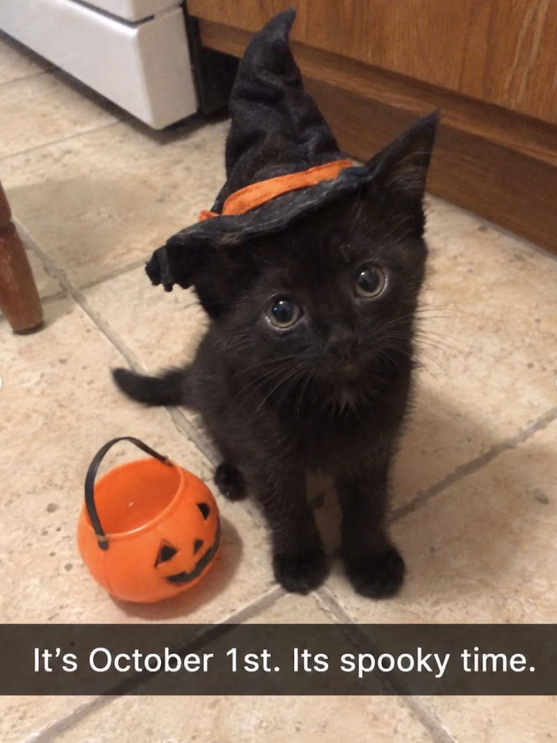It's October 1st. Its spooky time.