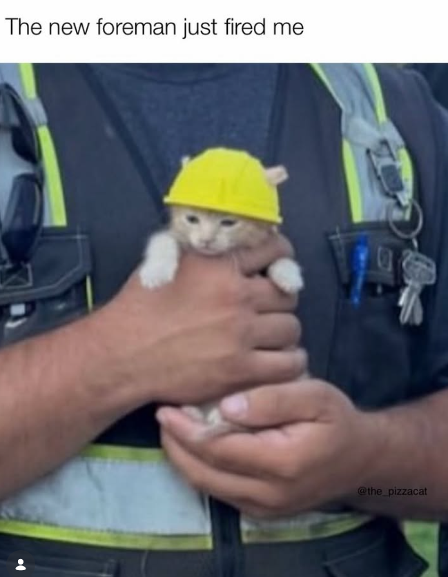 The new foreman just fired me @the_pizzacat