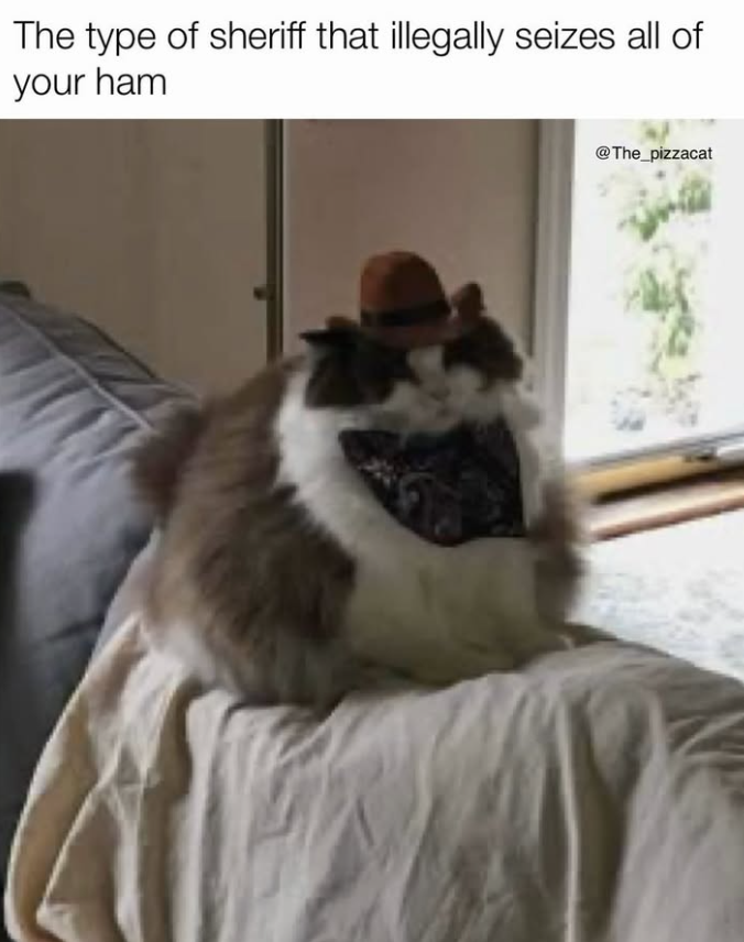 The type of sheriff that illegally seizes all of your ham @The_pizzacat
