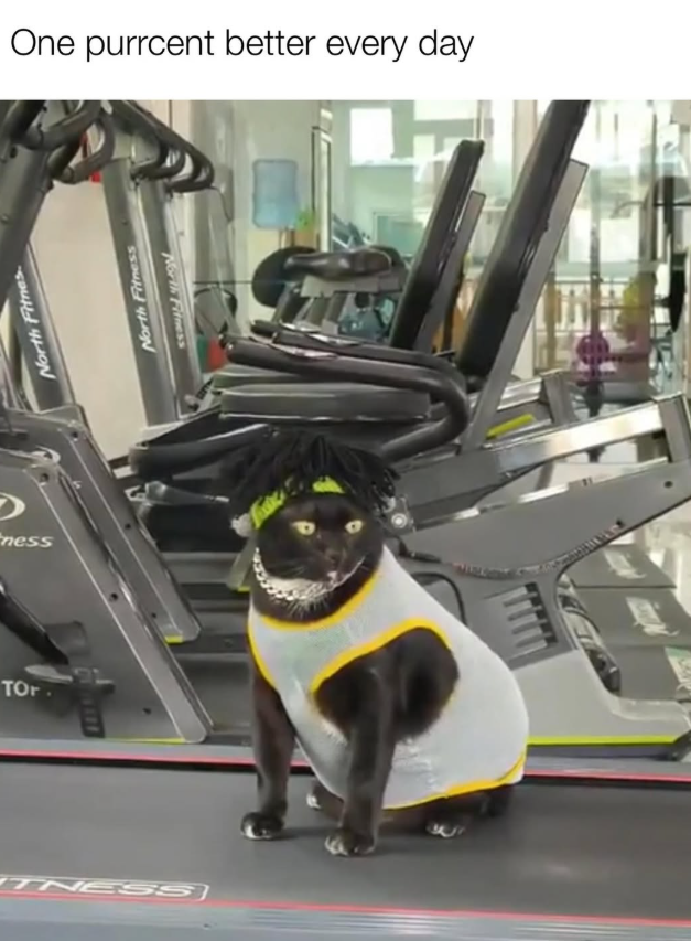 ness TOr North Fitnes TNESS One purrcent better every day North Fitness North Fitness