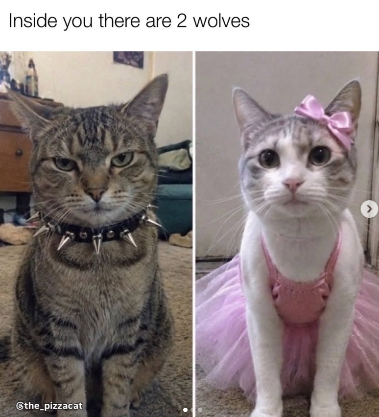 Inside you there are 2 wolves the_pizzacat >