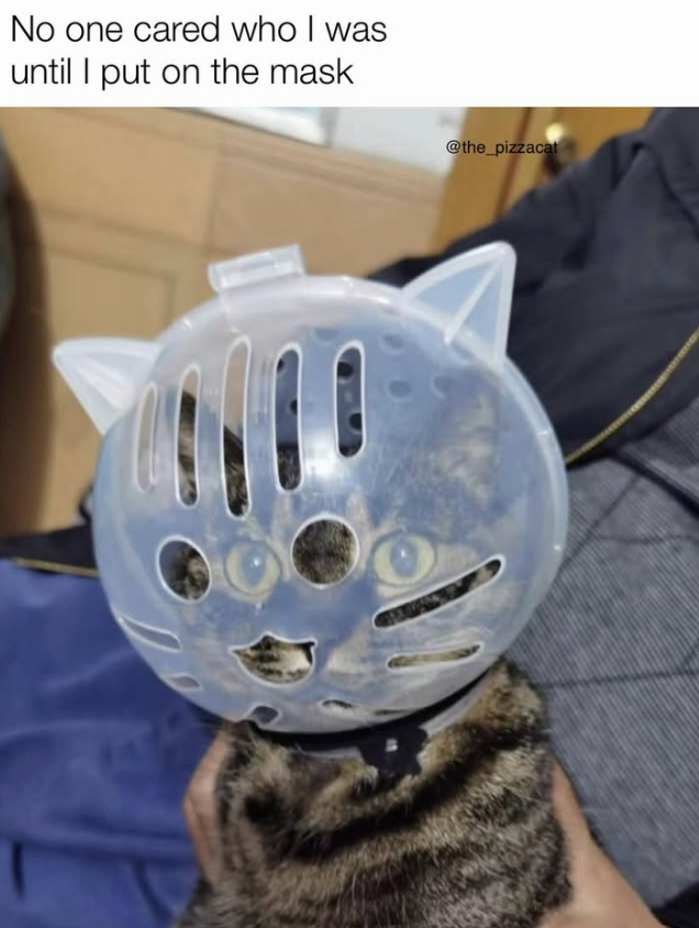 No one cared who I was until I put on the mask @the_pizzacat