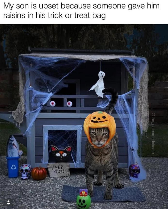 My son is upset because someone gave him raisins in his trick or treat bag KEEP OUT! @the_catnamedcheeto