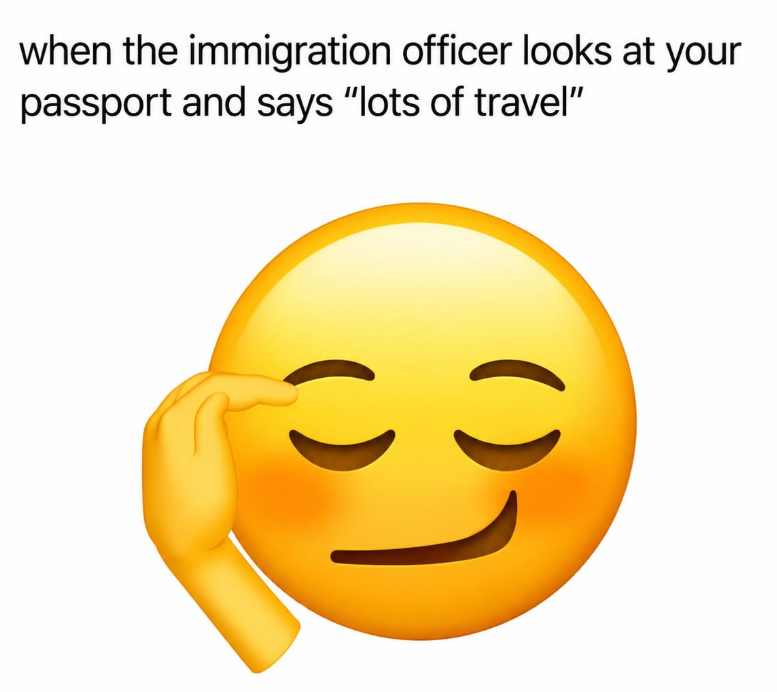 when the immigration officer looks at your passport and says "lots of travel" C