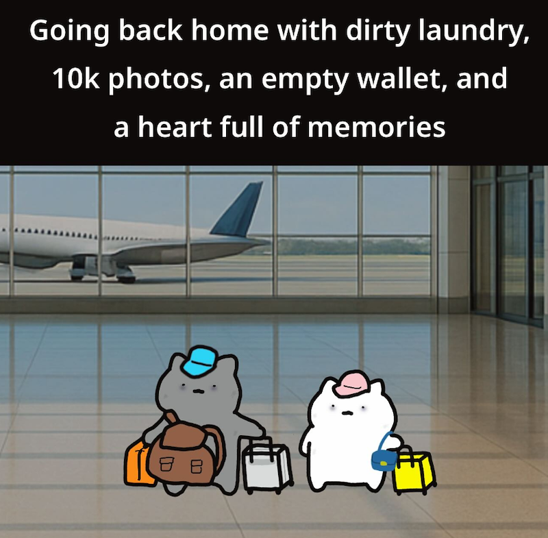 Going back home with dirty laundry, 10k photos, an empty wallet, and a heart full of memories 8 B