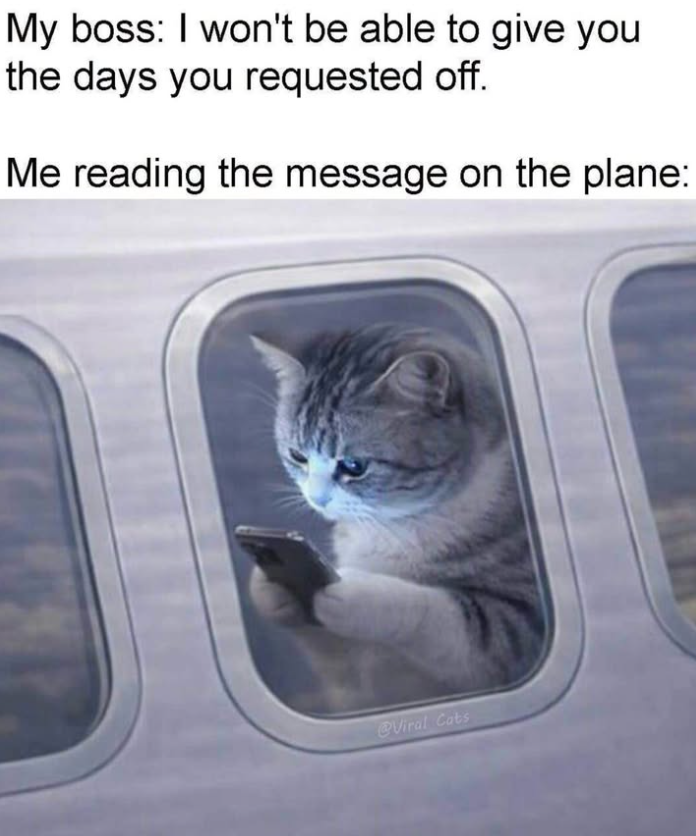 My boss: I won't be able to give you the days you requested off. Me reading the message on the plane: @Viral Cats