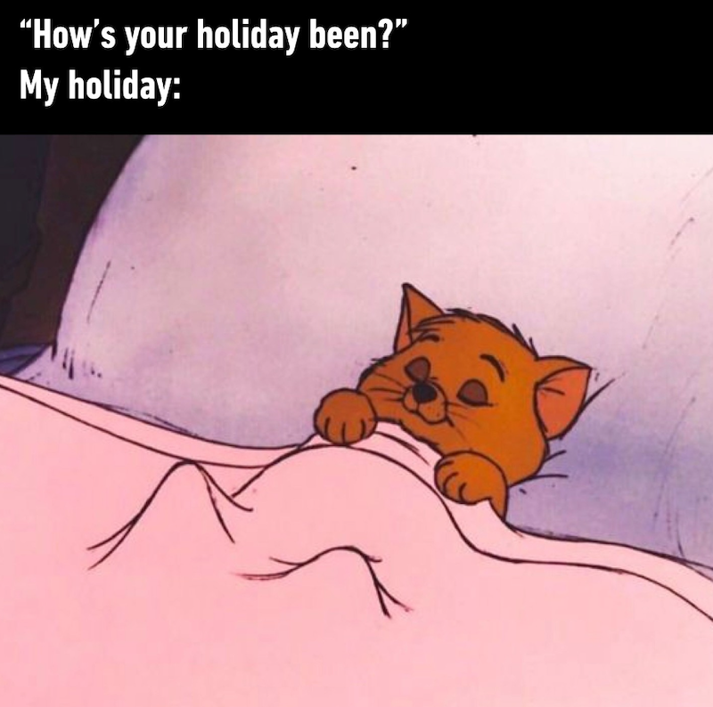 "How's your holiday been?" My holiday:
