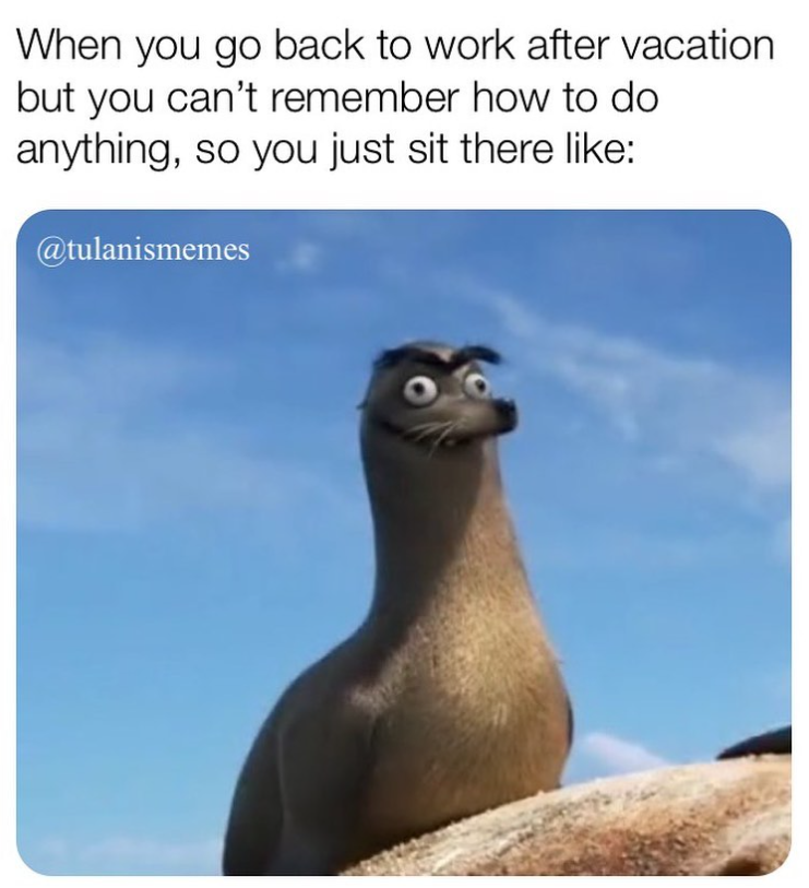 When you go back to work after vacation but you can't remember how to do anything, so you just sit there like: @tulanismemes
