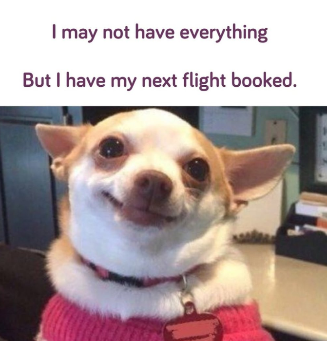 I may not have everything But I have my next flight booked.