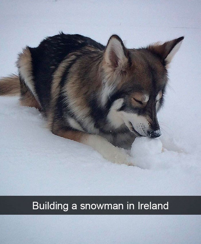 Building a snowman in Ireland