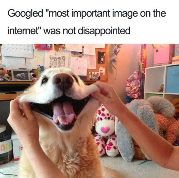Googled "most important image on the internet" was not disappointed