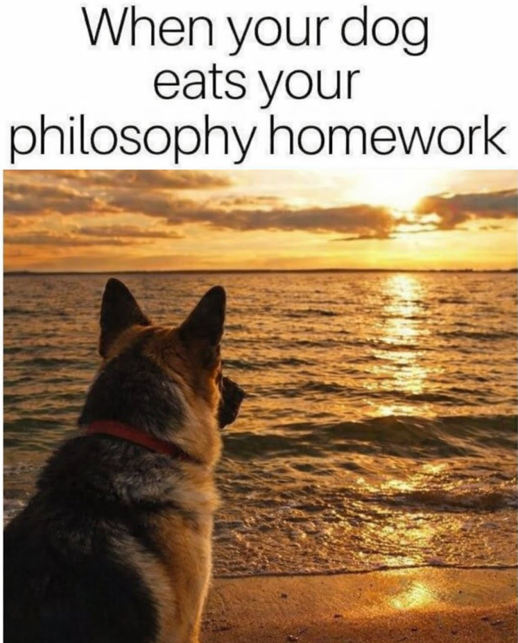 When your dog eats your philosophy homework