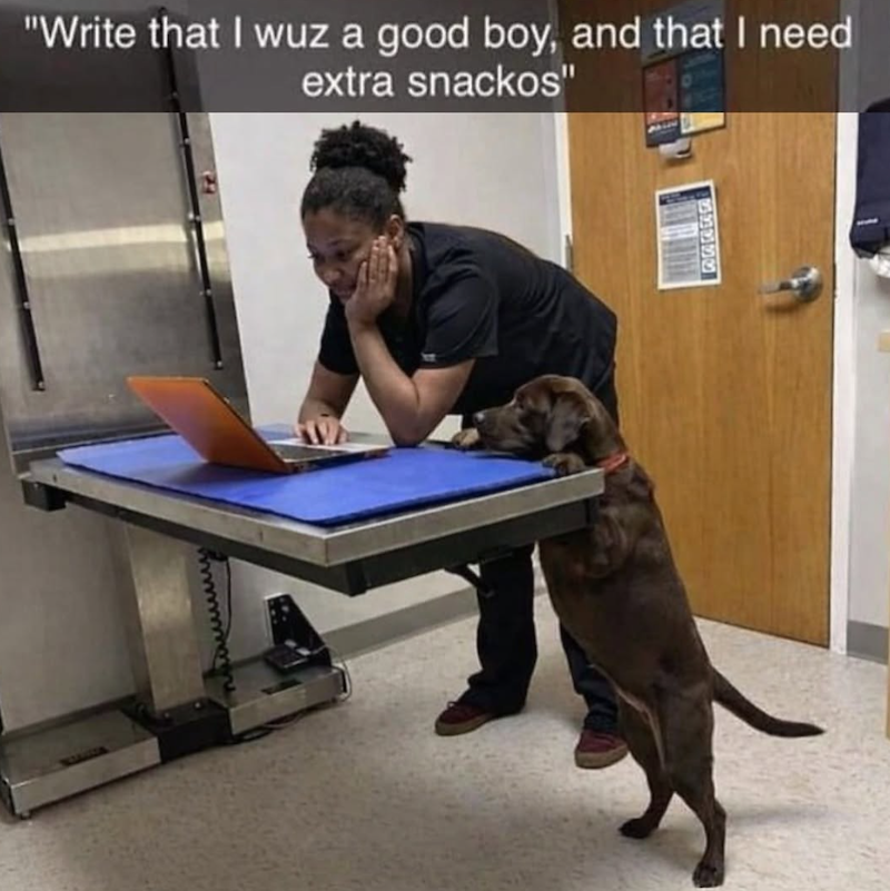 "Write that I wuz a good boy, and that I need extra snackos" 88339