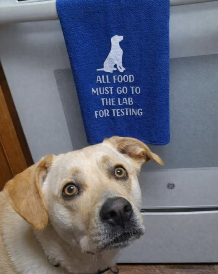 ALL FOOD MUST GO TO THE LAB FOR TESTING