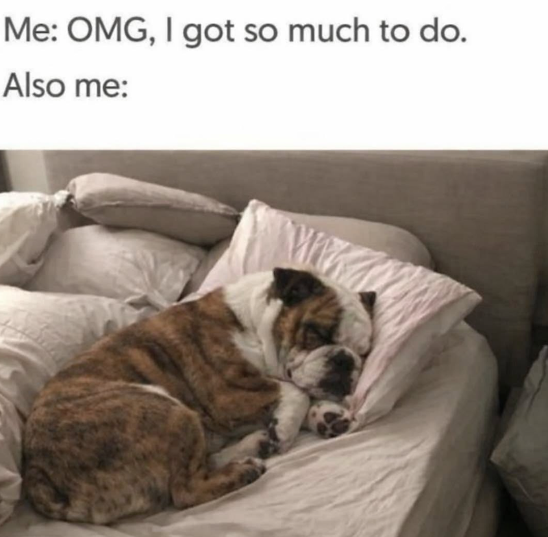 Me: OMG, I got so much to do. Also me: W