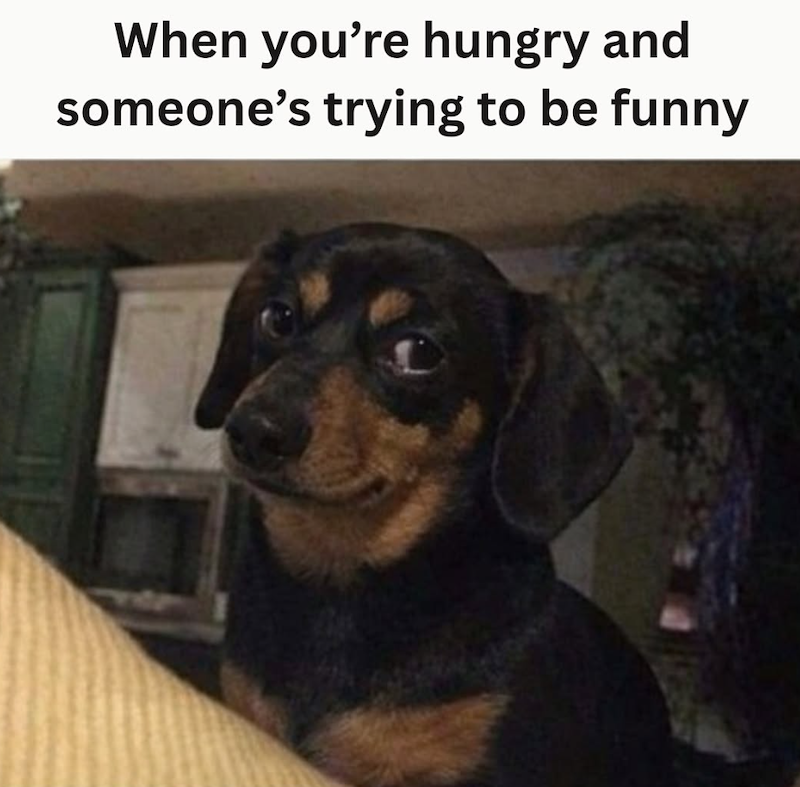 When you're hungry and someone's trying to be funny
