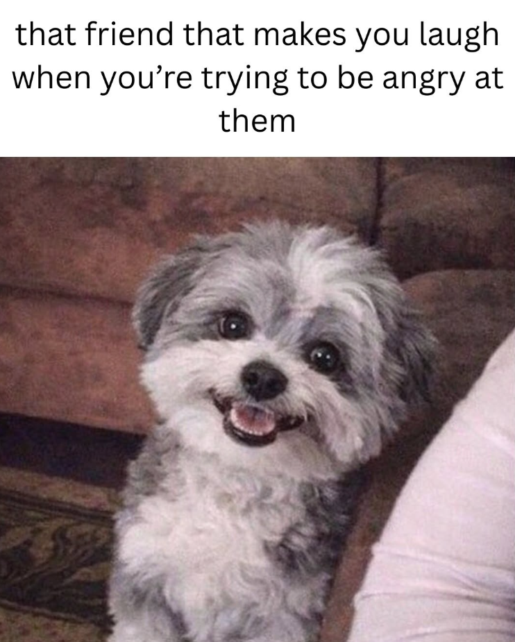 that friend that makes you laugh when you're trying to be angry at them