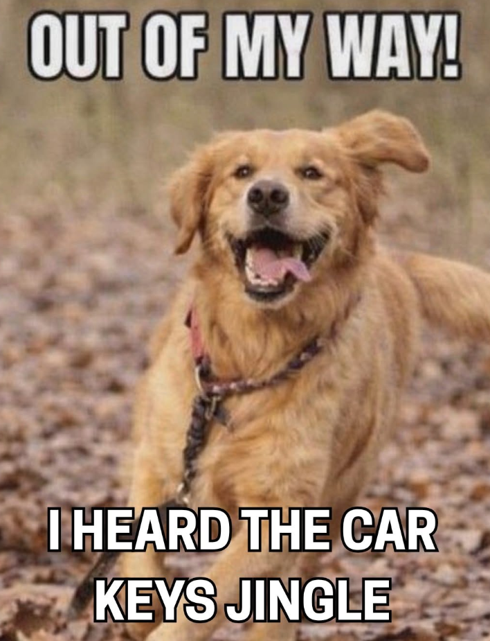 OUT OF MY WAY! I HEARD THE CAR KEYS JINGLE