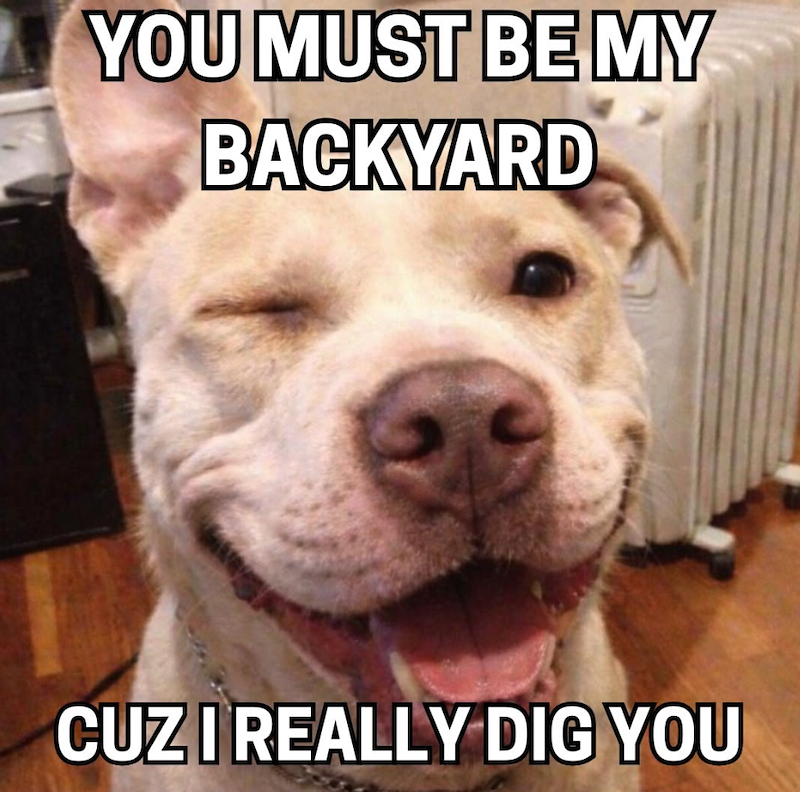 YOU MUST BE MY BACKYARD CUZ I REALLY DIG YOU