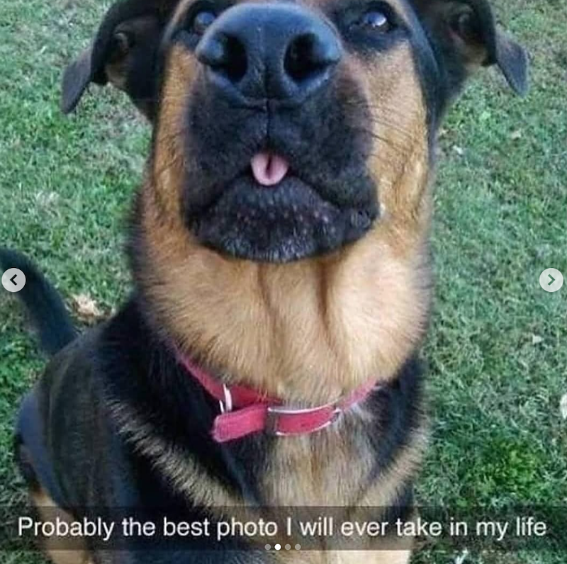 < Probably the best photo I will ever take in my life