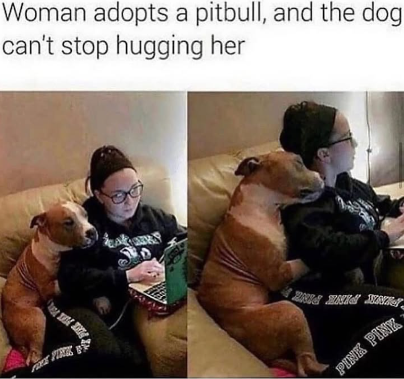 Woman adopts a pitbull, and the dog can't stop hugging her FOCK FINK BRIA ANIS NA PINK PINK