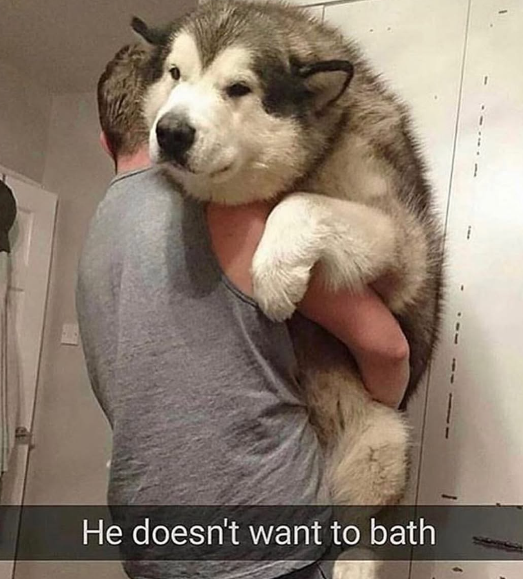 He doesn't want to bath