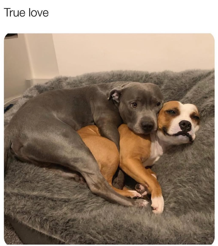 True love