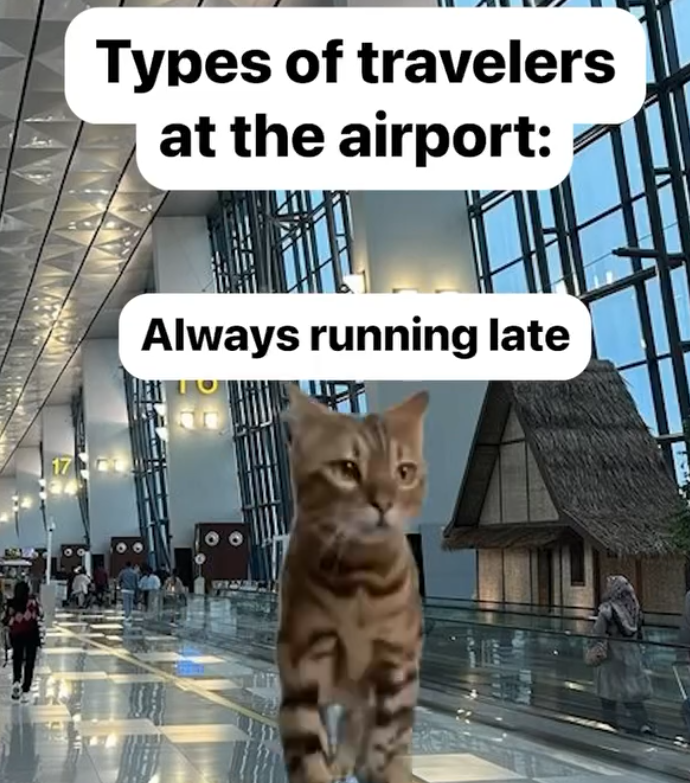 17 Types of travelers at the airport: Always running late