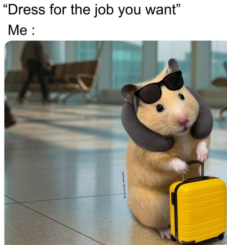 @nurungi hamster "Dress for the job you want❞ Me: