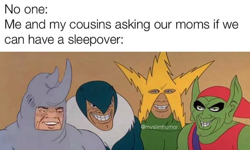 No one: Me and my cousins asking our moms if we I can have a sleepover: @mvslimhumor