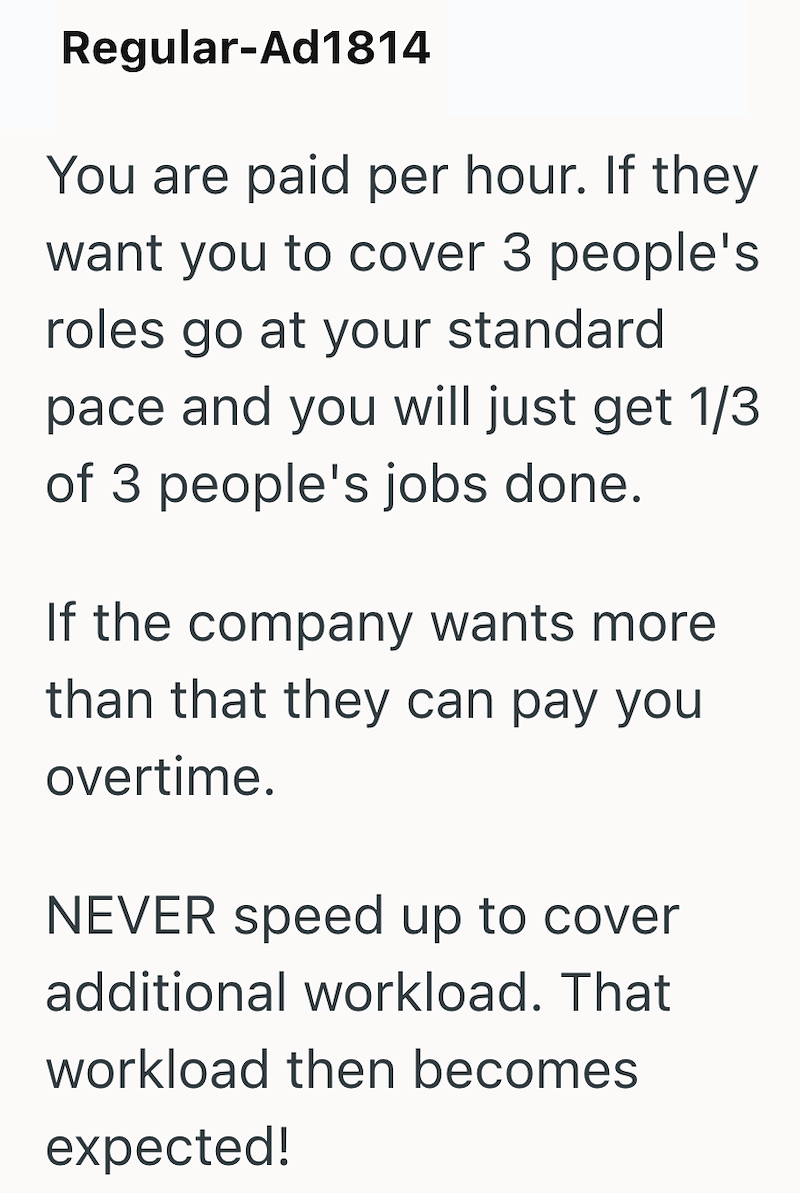 Regular-Ad1814 You are paid per hour. If they want you to cover 3 people's roles go at your standard pace and you will just get 1/3 of 3 people's jobs done. If the company wants more. than that they can pay you overtime. NEVER speed up to cover additional workload. That workload then becomes expected!