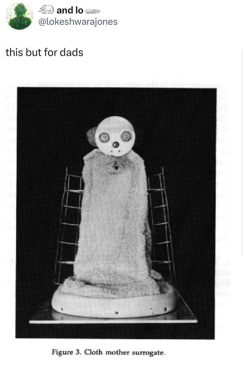 Ard and lo @lokeshwarajones this but for dads Figure 3. Cloth mother surrogate.